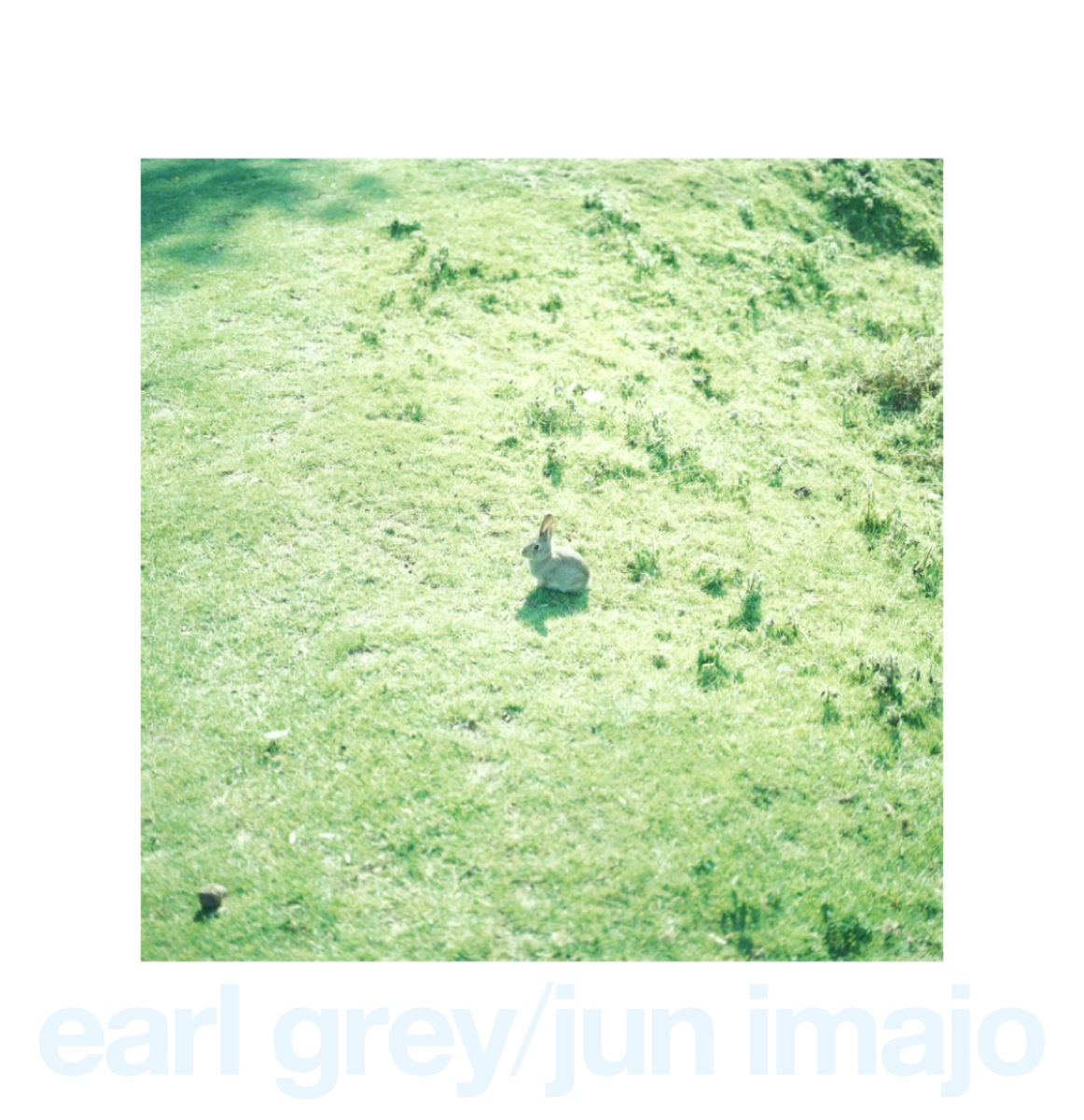 今城純 Jun Imajo : GALLERY : Direction